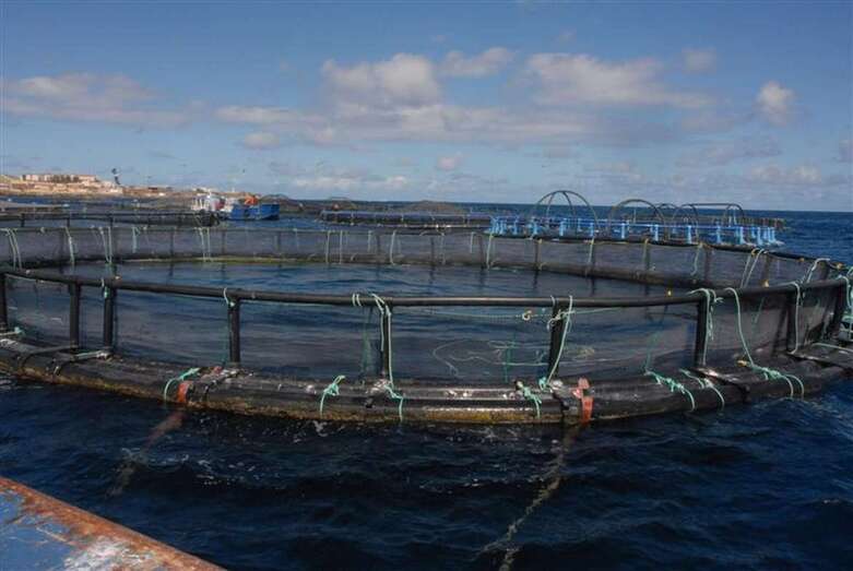 Viveros marinos situados frente a la playa de Salinetas/TA.